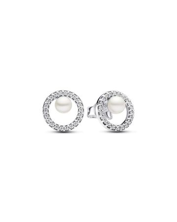 Pandora Treated Freshwater Cultured Pearl & Pavé korvakorut 293154C01-1