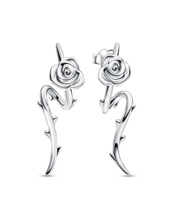 Pandora Rose in Bloom Ohrringe 293214C00