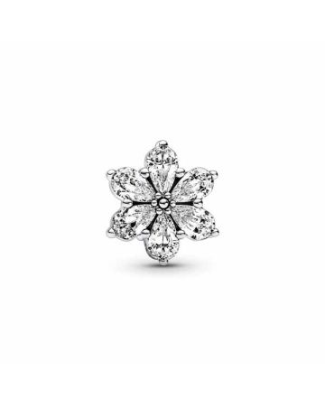 Pandora Herbanium Cluster hela 792623C01
