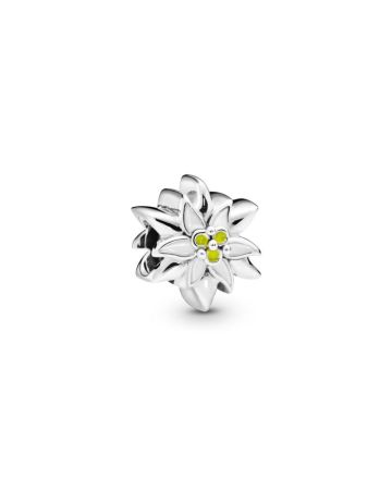 Pandora Edelweiss -hela 798243ENMX