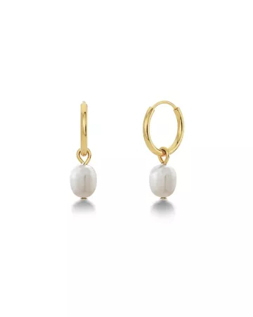 Edblad Perla Hoops Gold 13.5mm 116656