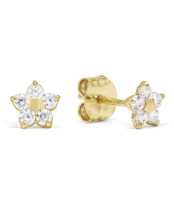 Gold Ohrringe, Stern K-E38976Z