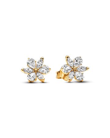 Pandora Timeless Sparkling Herbarium Cluster korvakorut 262633C0-1