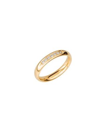 Schalins SR2011 0.14 -Gold