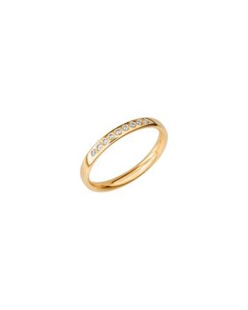 Schalins SR2016 0.09 -Gold