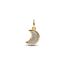 Pandora Sparkling Crescent Moon hela 764275C01