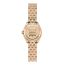 Certina DS-2 Lady DS-2 Lady C049.210.33.026.00