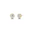 Edblad Thassos Mini Gold 6mm 116847