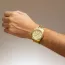Festina Timeless Chronograph F20705/2