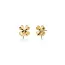 Edblad Lucky Studs Gold 9*10mm 123764