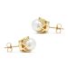 Gold Ohrringe 7 mm 1037valk