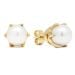 Gold Ohrringe 8 mm 1038valk
