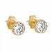 Gold Ohrringe 11-LTSE009
