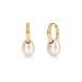 Edblad Breeze Hoops S Gold korvakorut 130381
