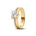 Pandora Timeless Double Band Heart ring 163100C01