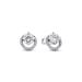 Pandora Sparkling Round Halo korvakorut 291248C01