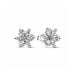 Pandora Herbanium Cluster Ohrringe 292633C01