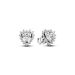 Pandora Sparkling Heart Halo örhängen 293097C01