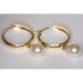 Gold Ohrringe 30068