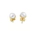 Goldene Ohrringe 9KYG-GE0372WFM-N
