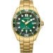 Citizen Eco-Drive Pro Marine BN0262-59W