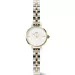 Daniel Wellington Petite Mini Arch DW00100923