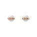 Daniel Wellington Aspiration Rose Gold Satin White -korvakorut DW00400152