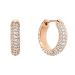 Daniel Wellington Pavé Crystal korvakorut DW00400627
