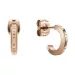Daniel Wellington Elan korvakorut DW00401949
