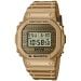 Casio G-Shock Gold Chain Limited Edition DWE-5600HG-1ER