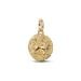 Pandora ME Lion Medallion Charme 763974C01