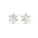 Brilliant Star Ohrringe mit Labordiamanten LES01068 YG 0.50