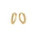 Goldene Ohrringe OT403523