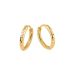 Goldene Ohrringe OT404116-10MM