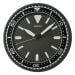 Seiko Seinäkello QXA791K