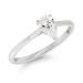 Beat of Love Sirena / Labordiamant R-2202LDPDW