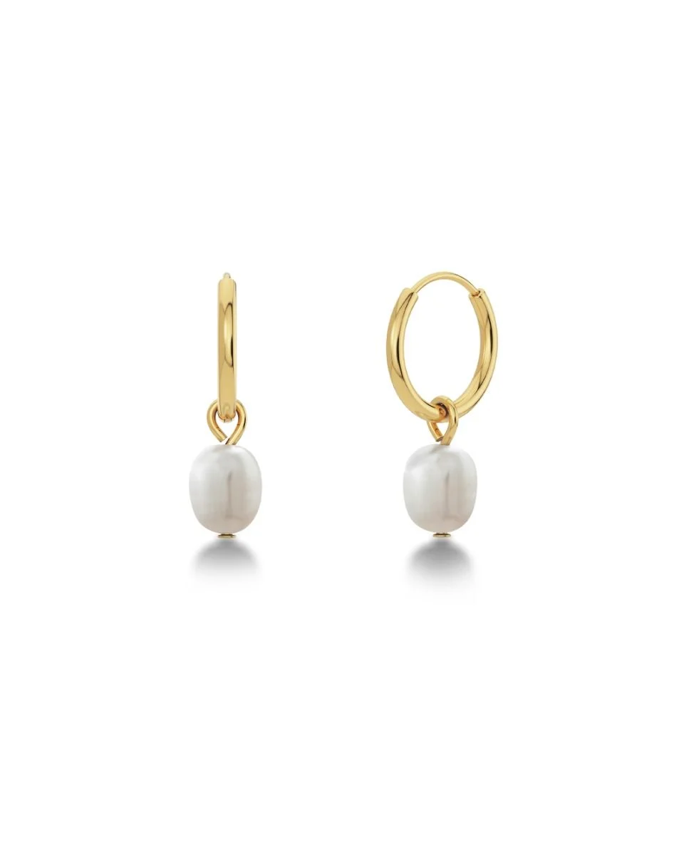 Edblad Perla Korvakorut Gold 13.5mm 116656