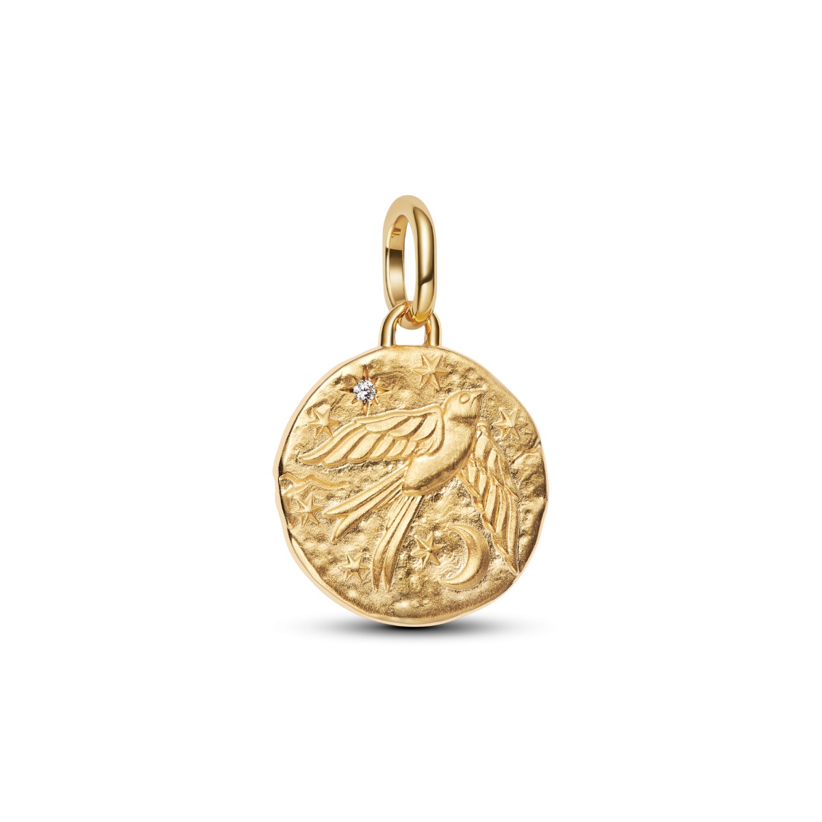 Pandora ME Swallow Medallion hela 764082C01