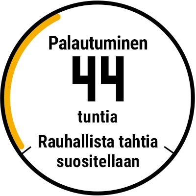 Palautuminen
