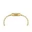Certina DS-2 Lady C049.210.33.116.00