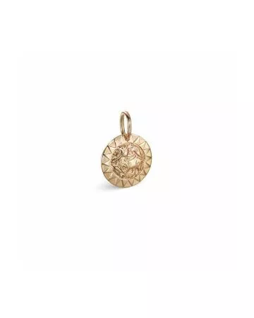 Kalevala Amuletti Aurinkoleijona hela / pieni 14K 18703133