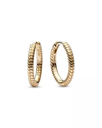 Pandora Moments Small Charm Hoop korvakorut 262728C00