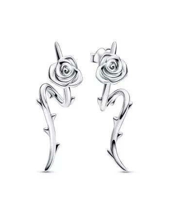 Pandora Rose in Bloom Earrings 293214C00