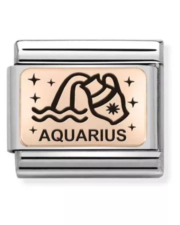 Nomination Classic Rose Gold horoskooppi Vesimies 430112/11