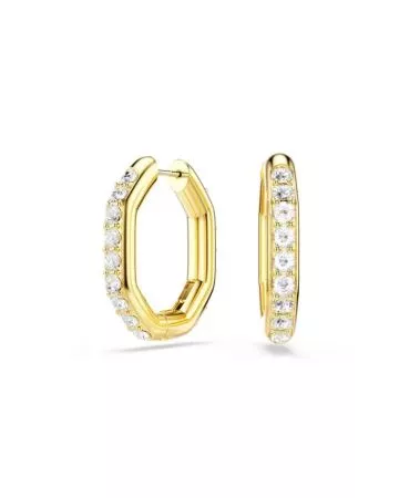 Swarovski Dextera Earrings 5724584