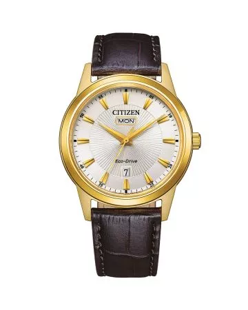 Citizen Eco-Drive Classic AW0102-13A-1
