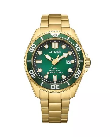 Citizen Eco-Drive Pro Marine BN0262-59W