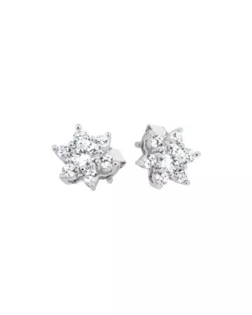 Silver Earrings CE05725