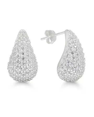 Silver earrings E-28817Z