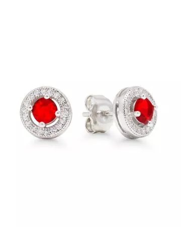 Silver Earrings E-3368ZPUN